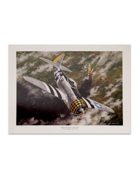 P-47 "Thunderbolt"