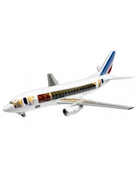 Air France BOEING B...