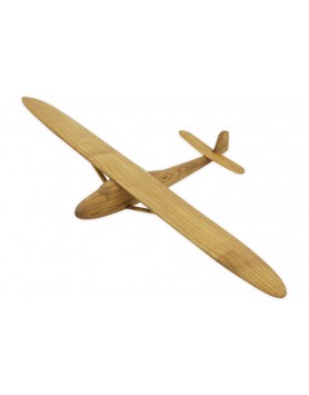 Wooden model of the Caudron...