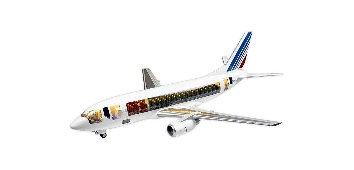 Boeing B 737-500 Air France (F-GHOL)